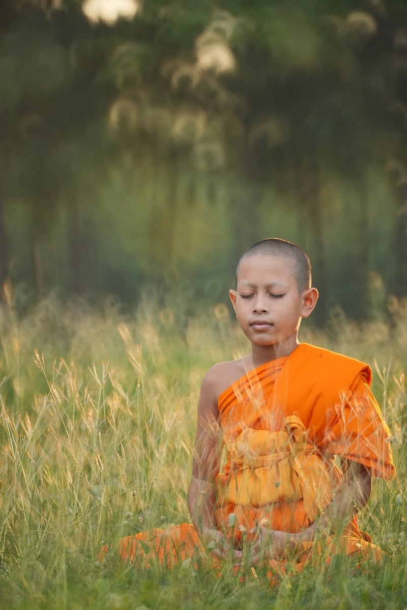 Stillness and Mindfulness